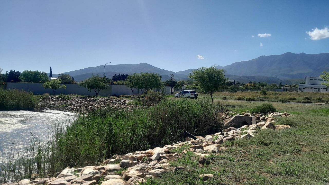 Photo 10 of 12