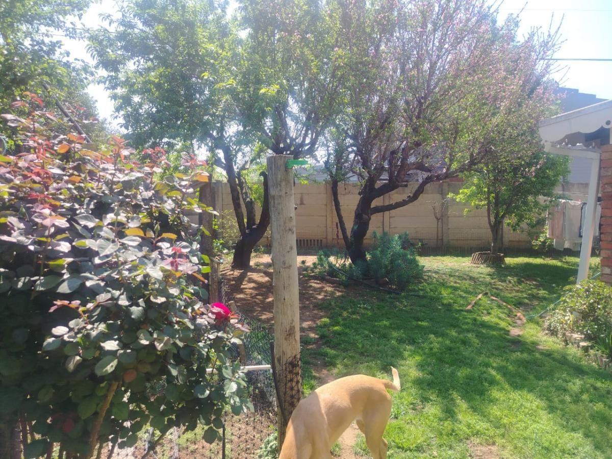 Photo 9 of 15