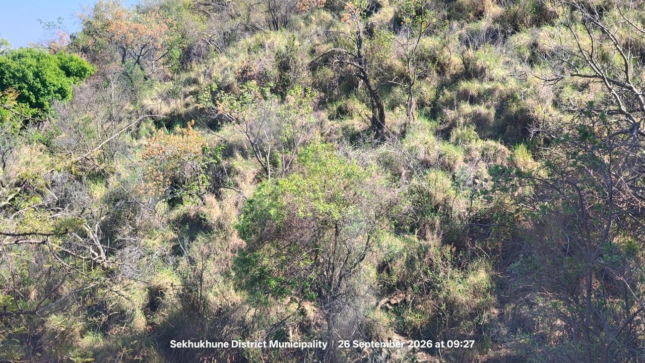Photo 19 of 30