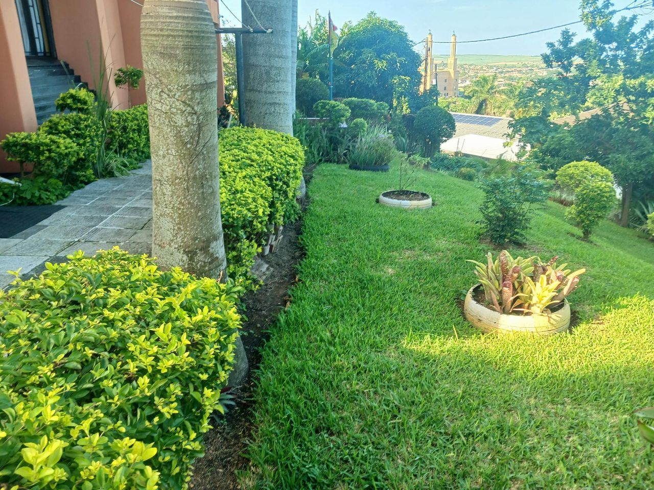 Photo 8 of 33