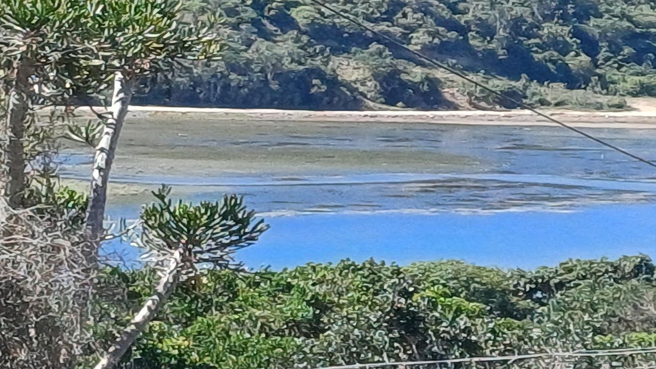 Photo 4 of 12