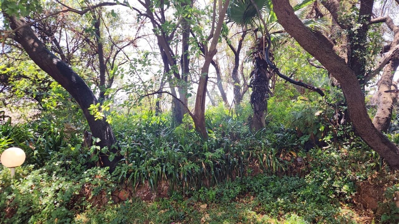 Photo 33 of 46