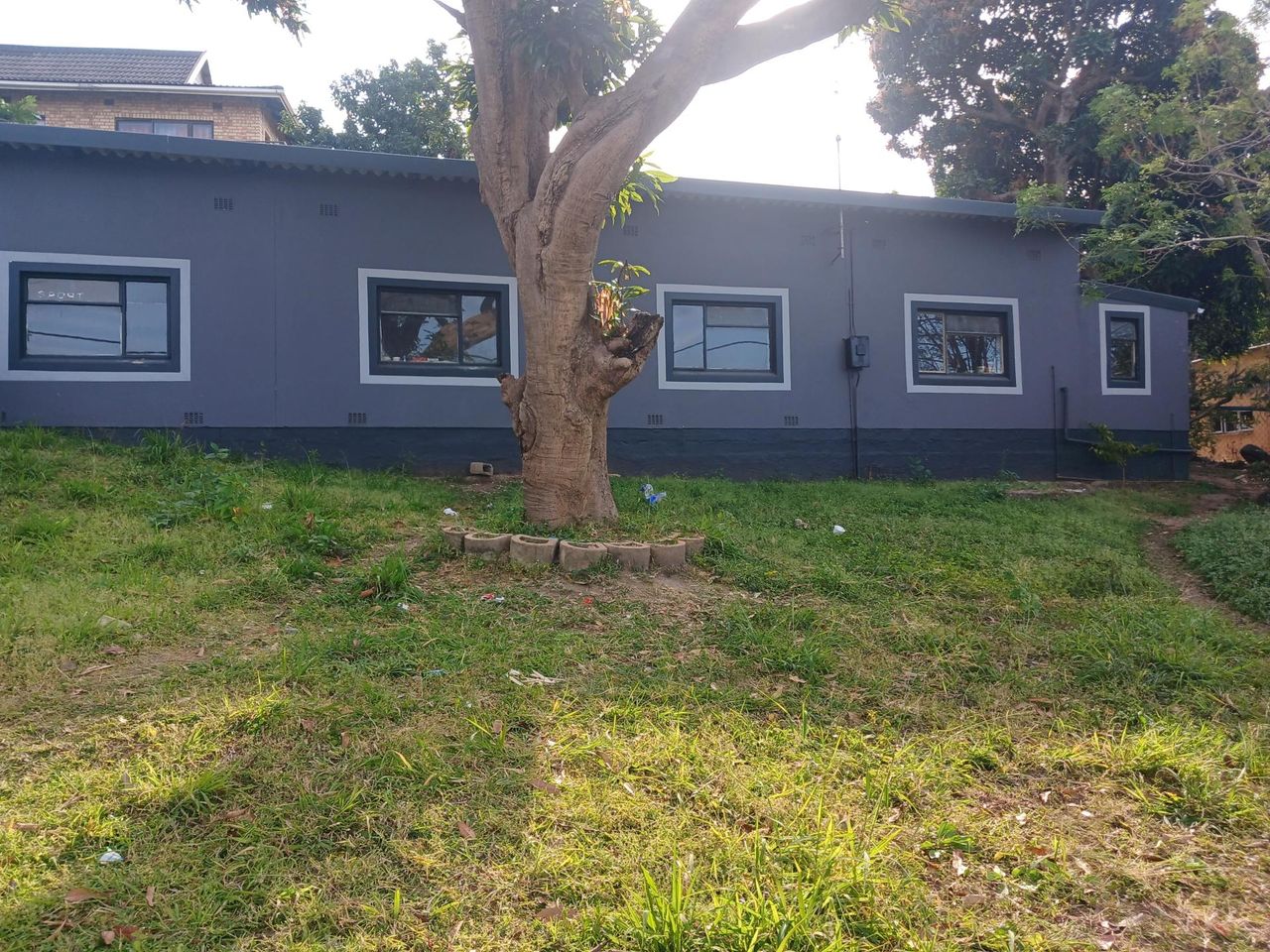 Photo 8 of 12