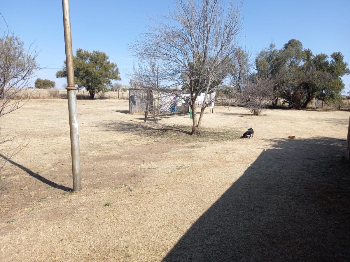 Photo 18 of 23