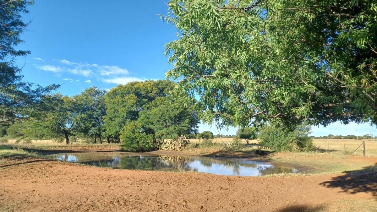 Photo of 4 Bedroom smallholding for sale in Bloemdal, Bloemfontein
