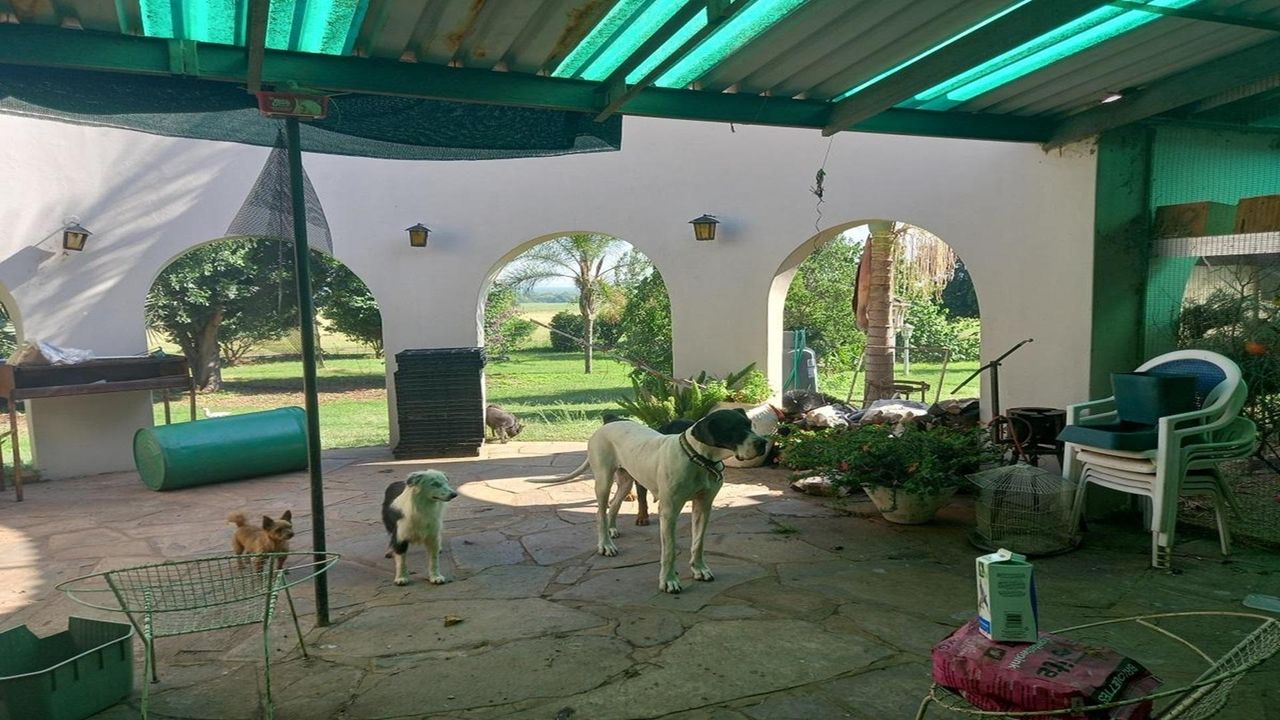 Photo 8 of 34