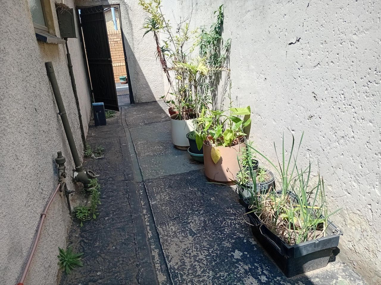Photo 16 of 17