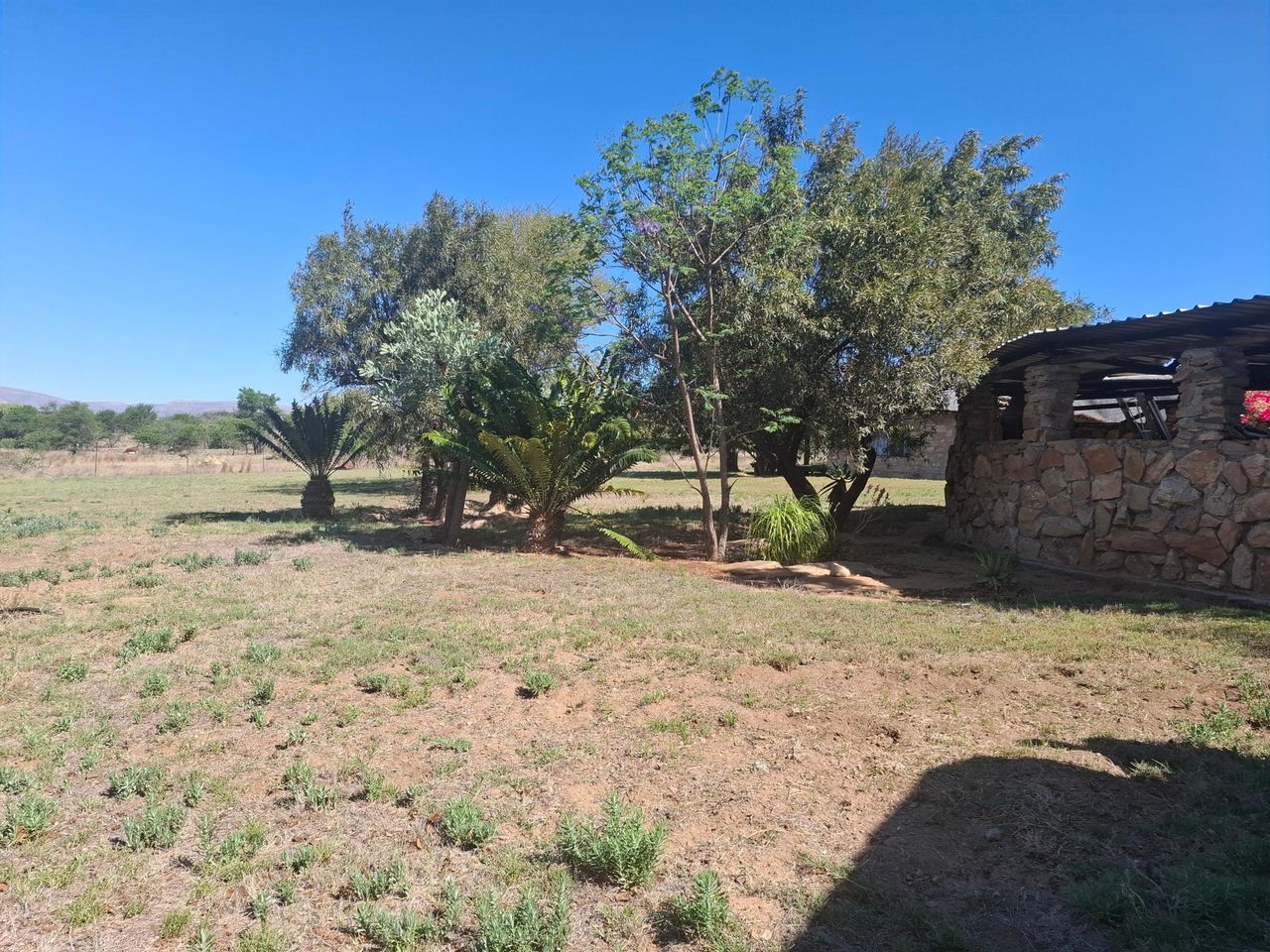 Photo 15 of 30