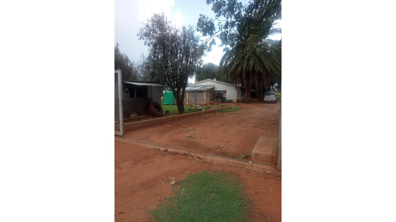 Photo 10 of 13