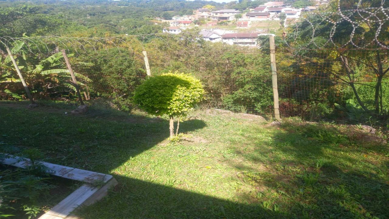 Photo 12 of 21