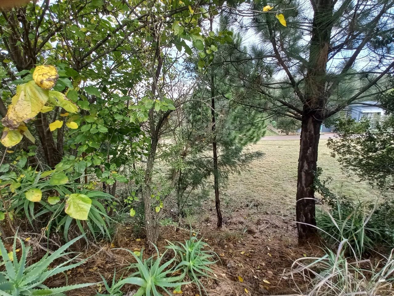 Photo 3 of 29