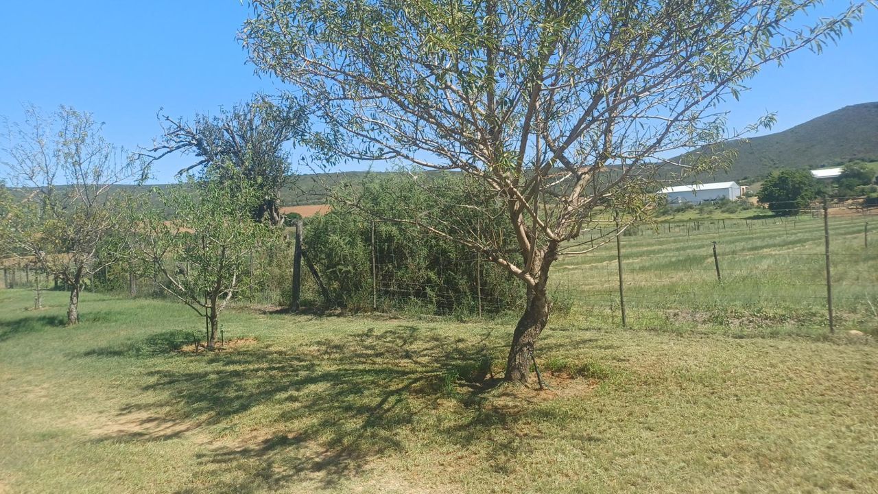Photo 26 of 43