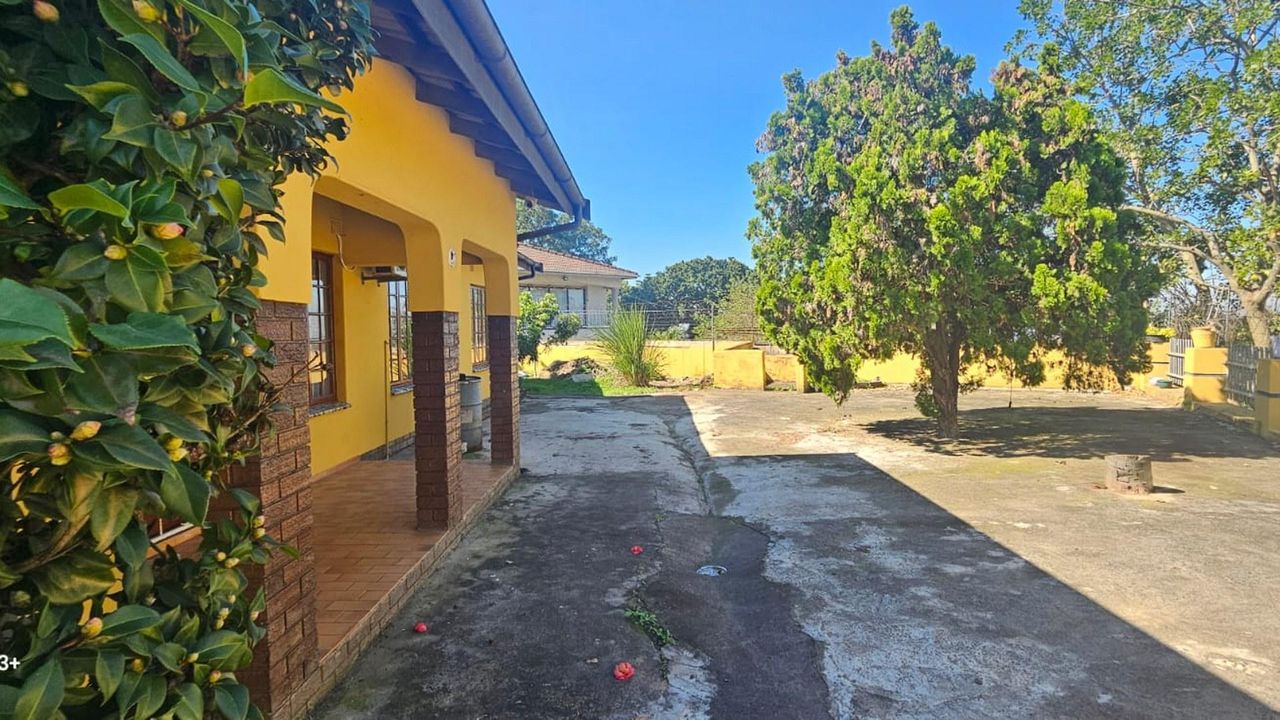 Photo 5 of 23