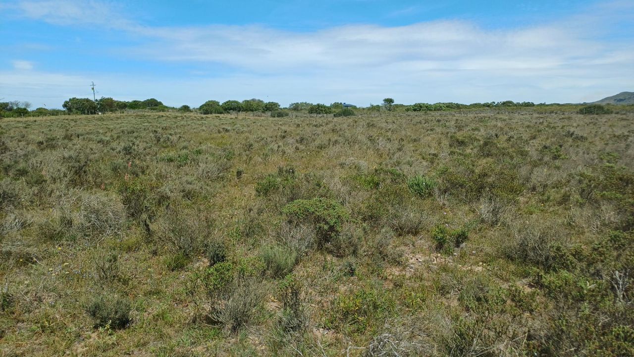 Photo 9 of 19