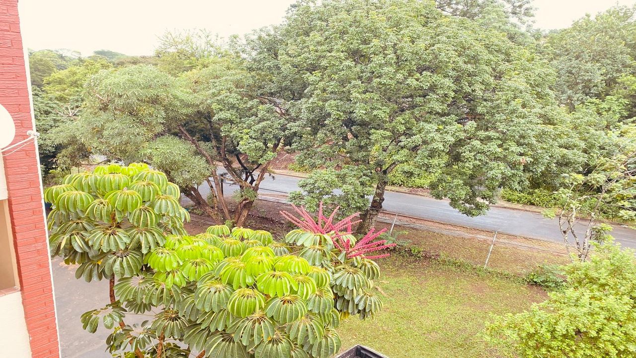 Photo 20 of 29
