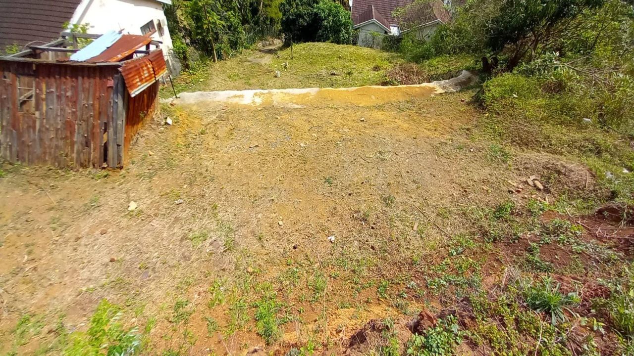 Photo 4 of 18
