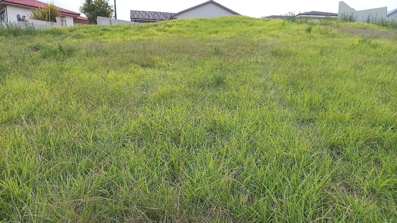 Photo 6 of 12