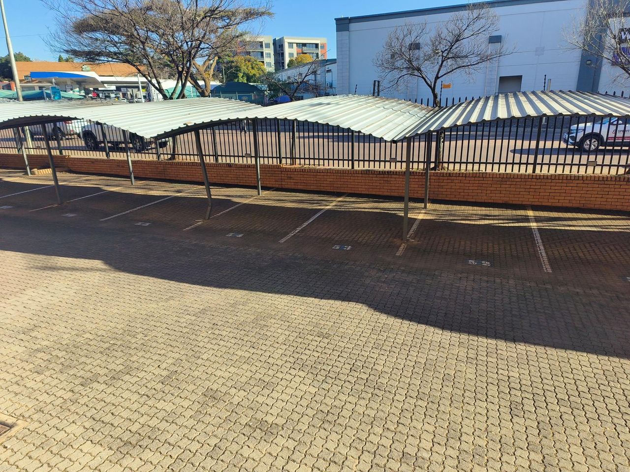 Photo 12 of 12
