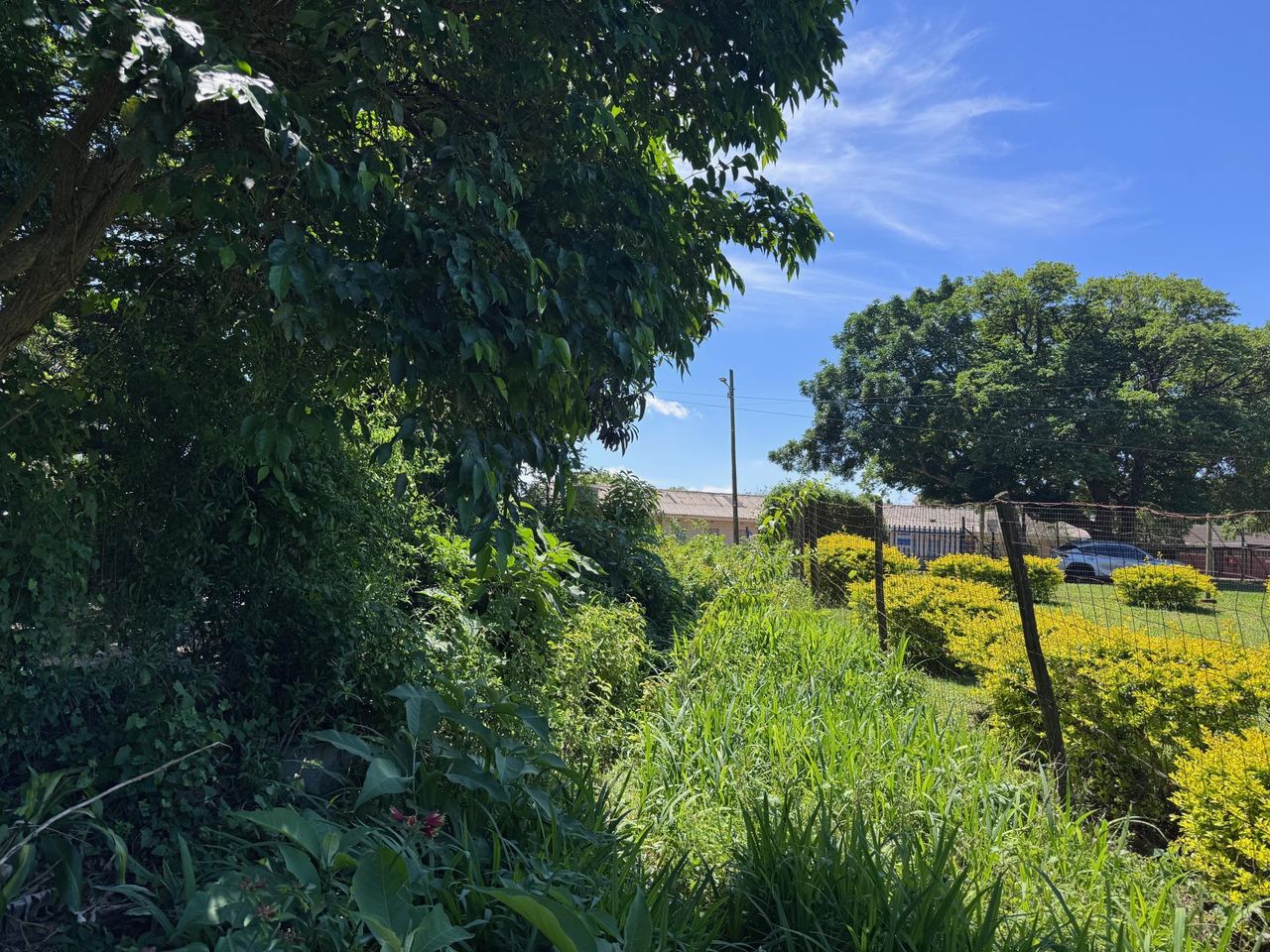 Photo 3 of 19