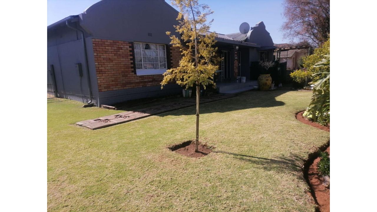 Photo 5 of 31