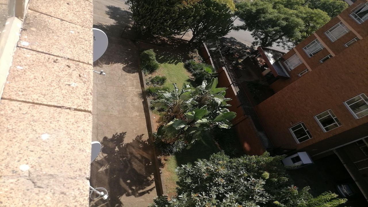 Photo 24 of 32