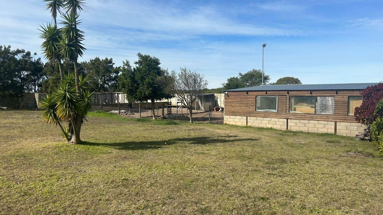 Photo 18 of 25