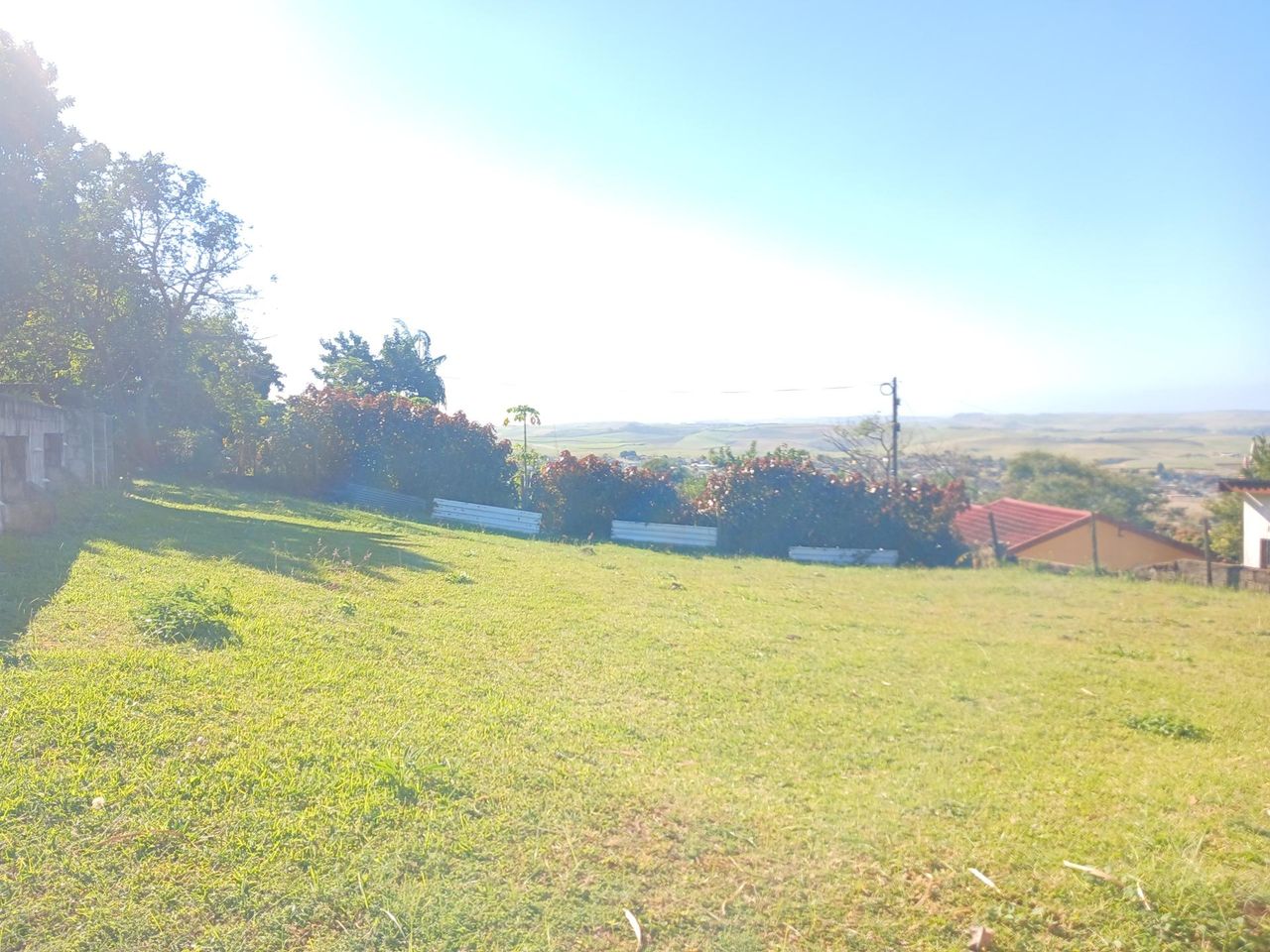Photo 4 of 20
