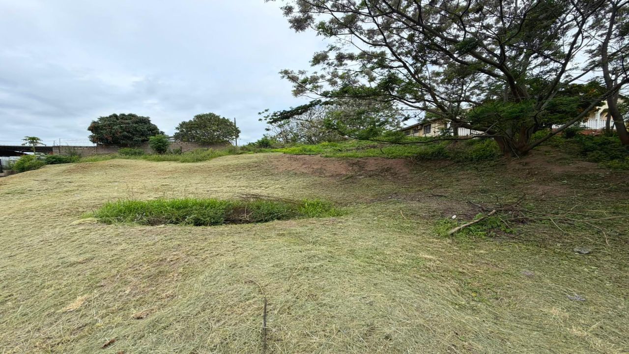Photo 9 of 12