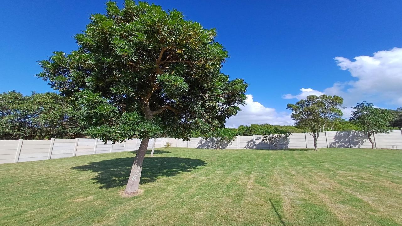 Photo 11 of 32