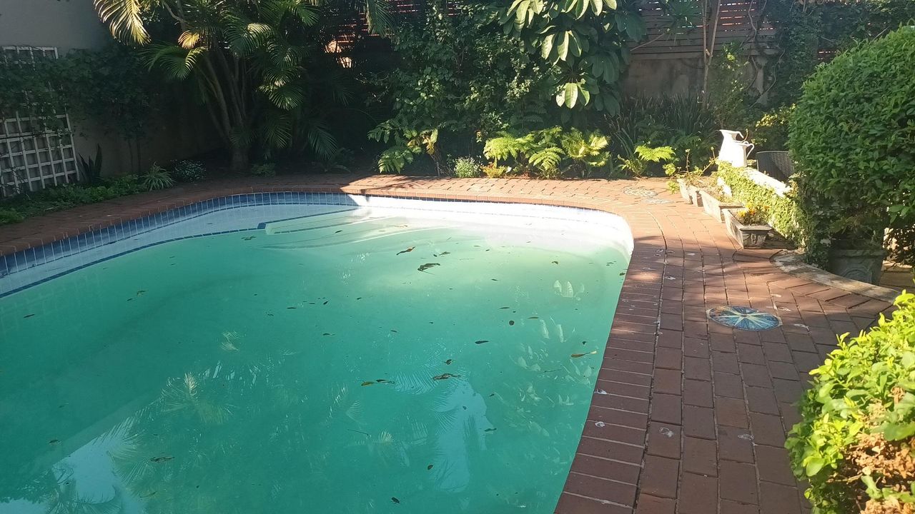 Photo 4 of 17