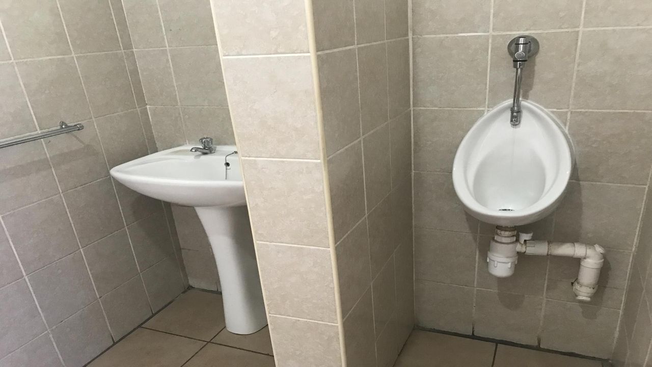 Photo 18 of 24