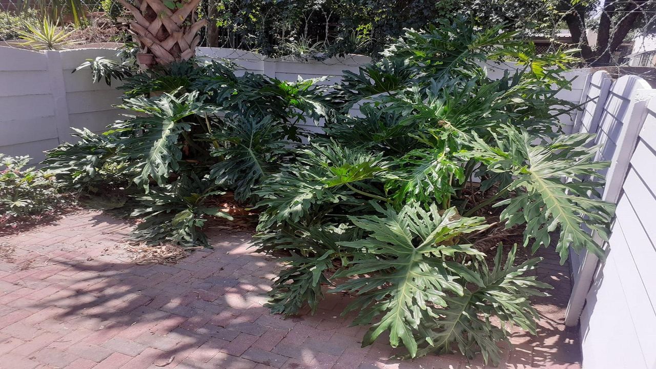 Photo 18 of 27
