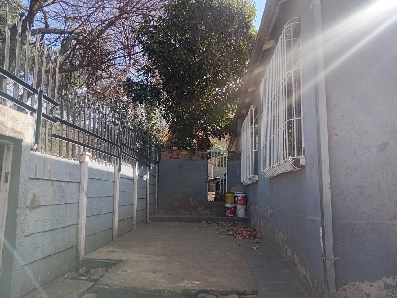 Photo 12 of 12