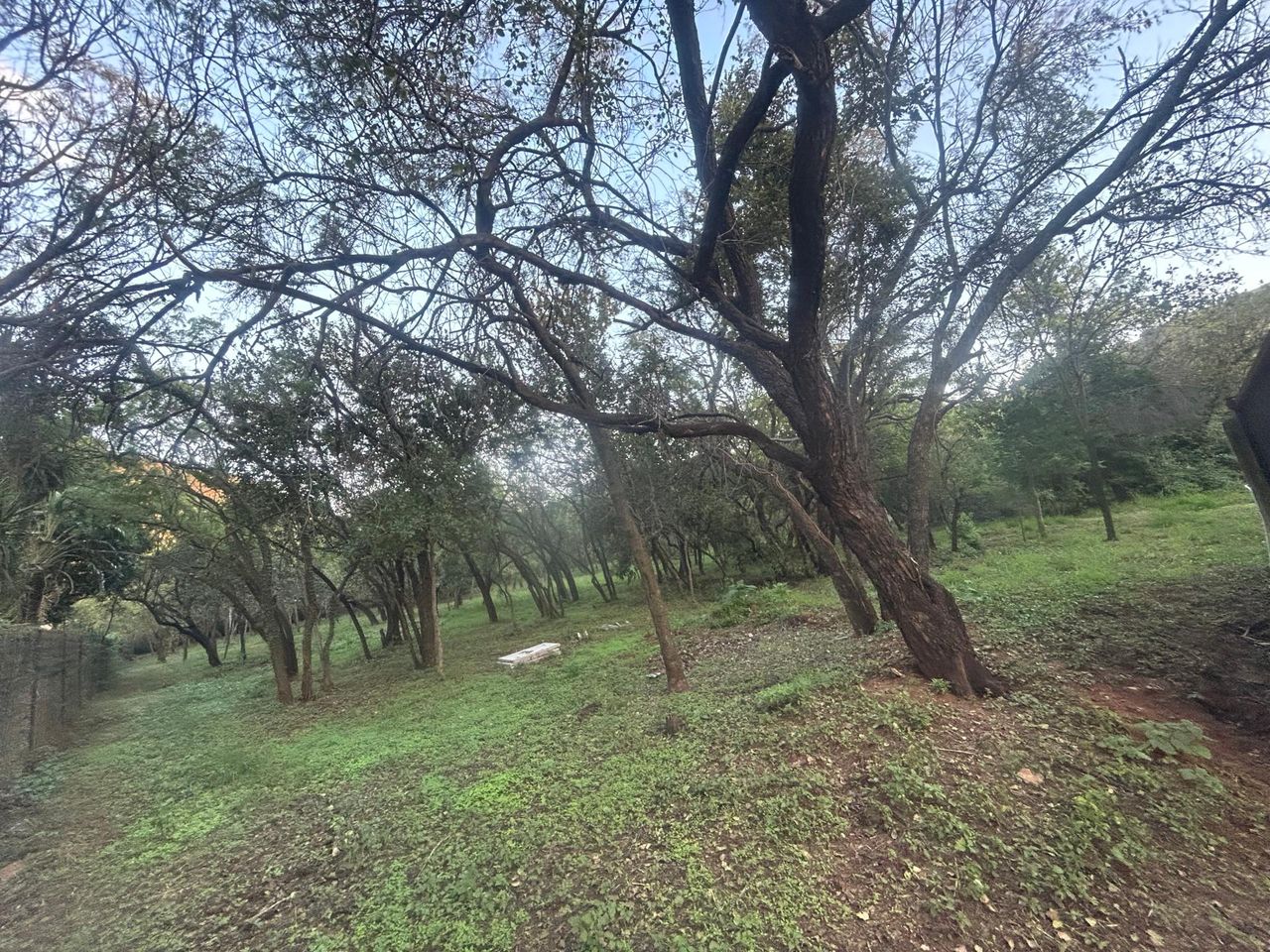 Photo 5 of 12