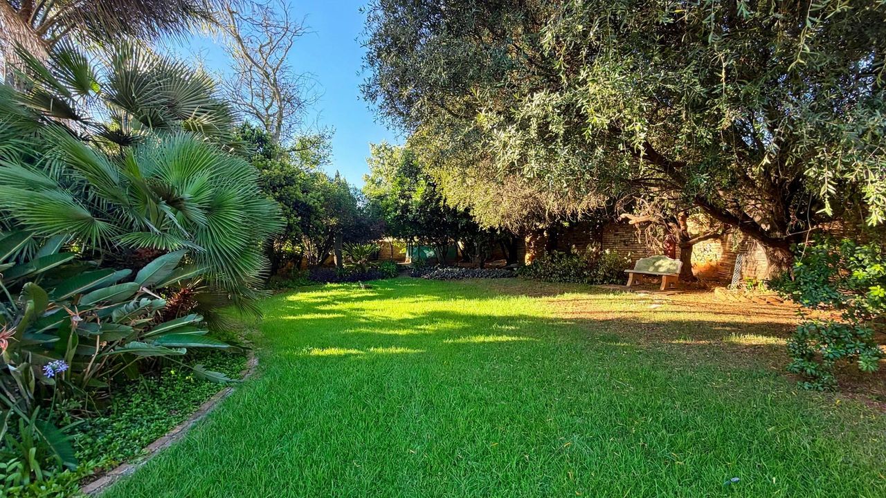 Photo 25 of 25