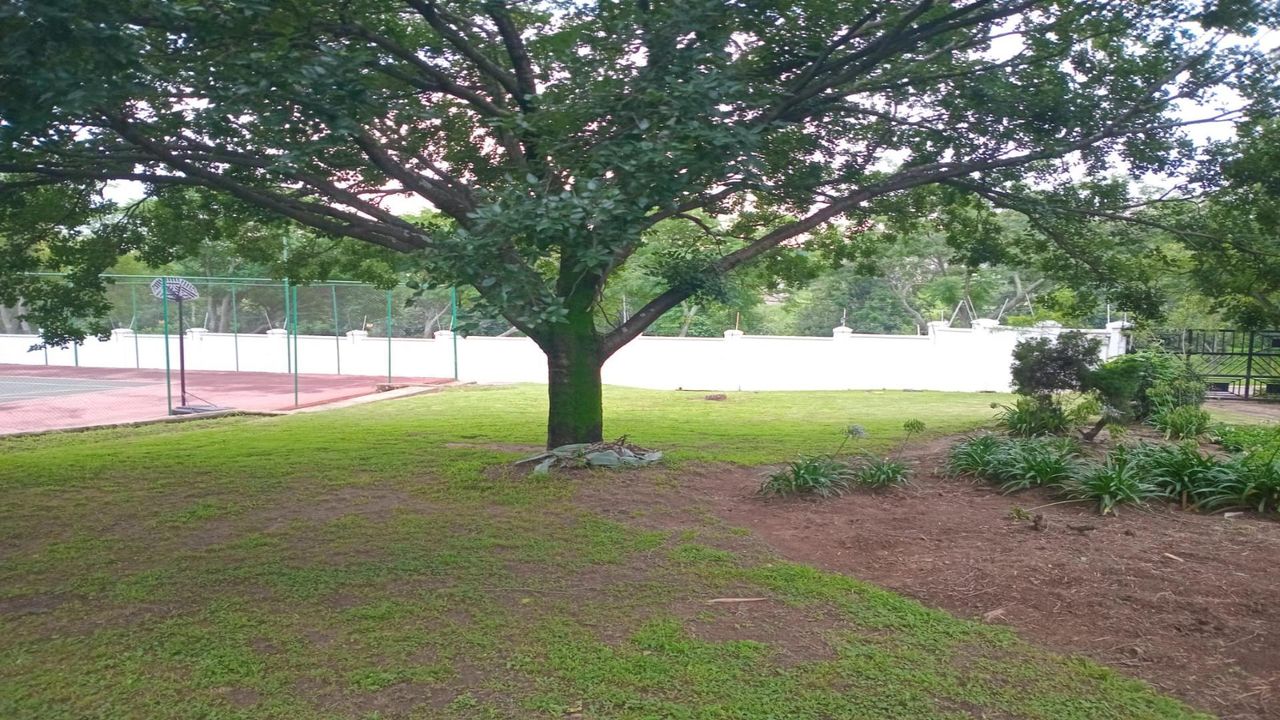 Photo 3 of 7