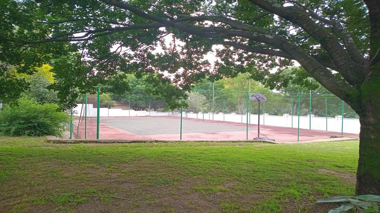 Photo 6 of 7