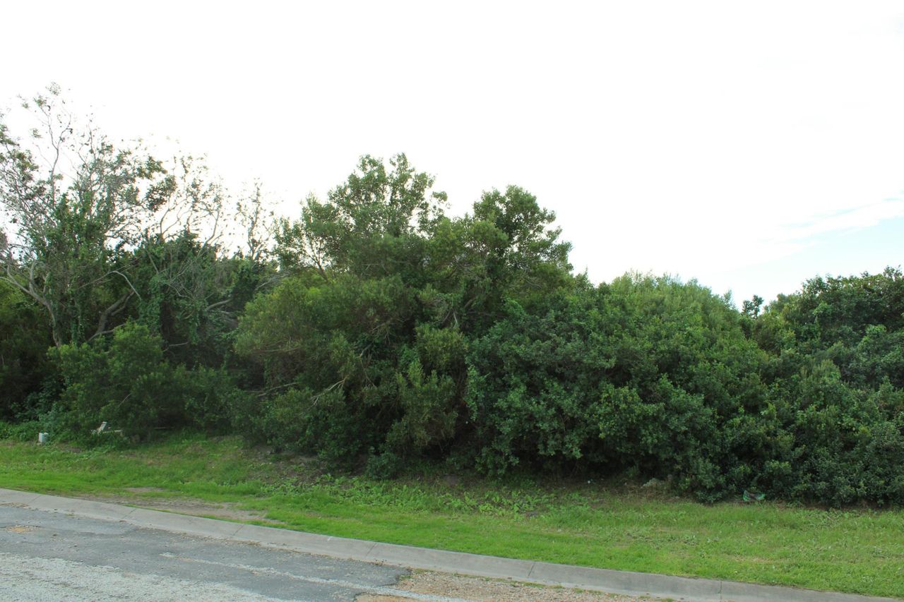 Photo 6 of 8