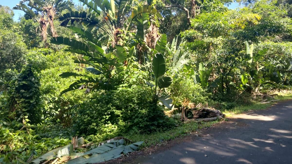 Photo 2 of 8
