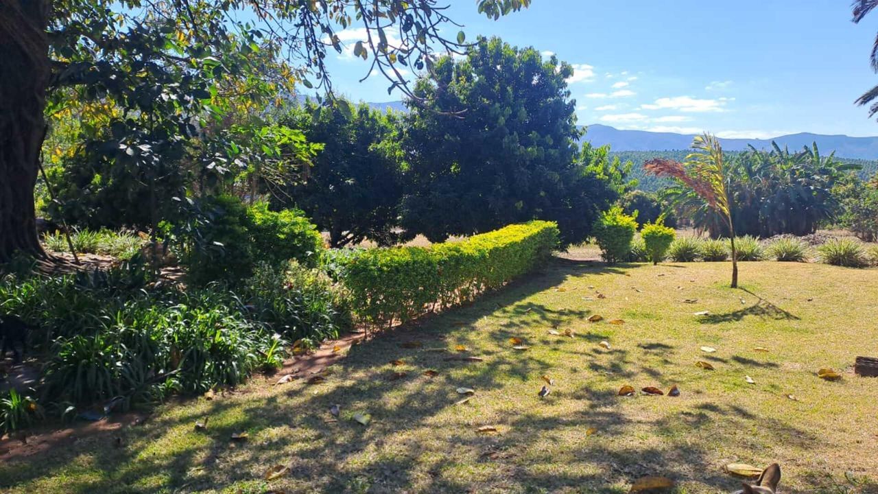 Photo 19 of 23