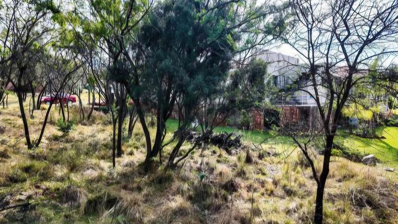 Photo 3 of 7