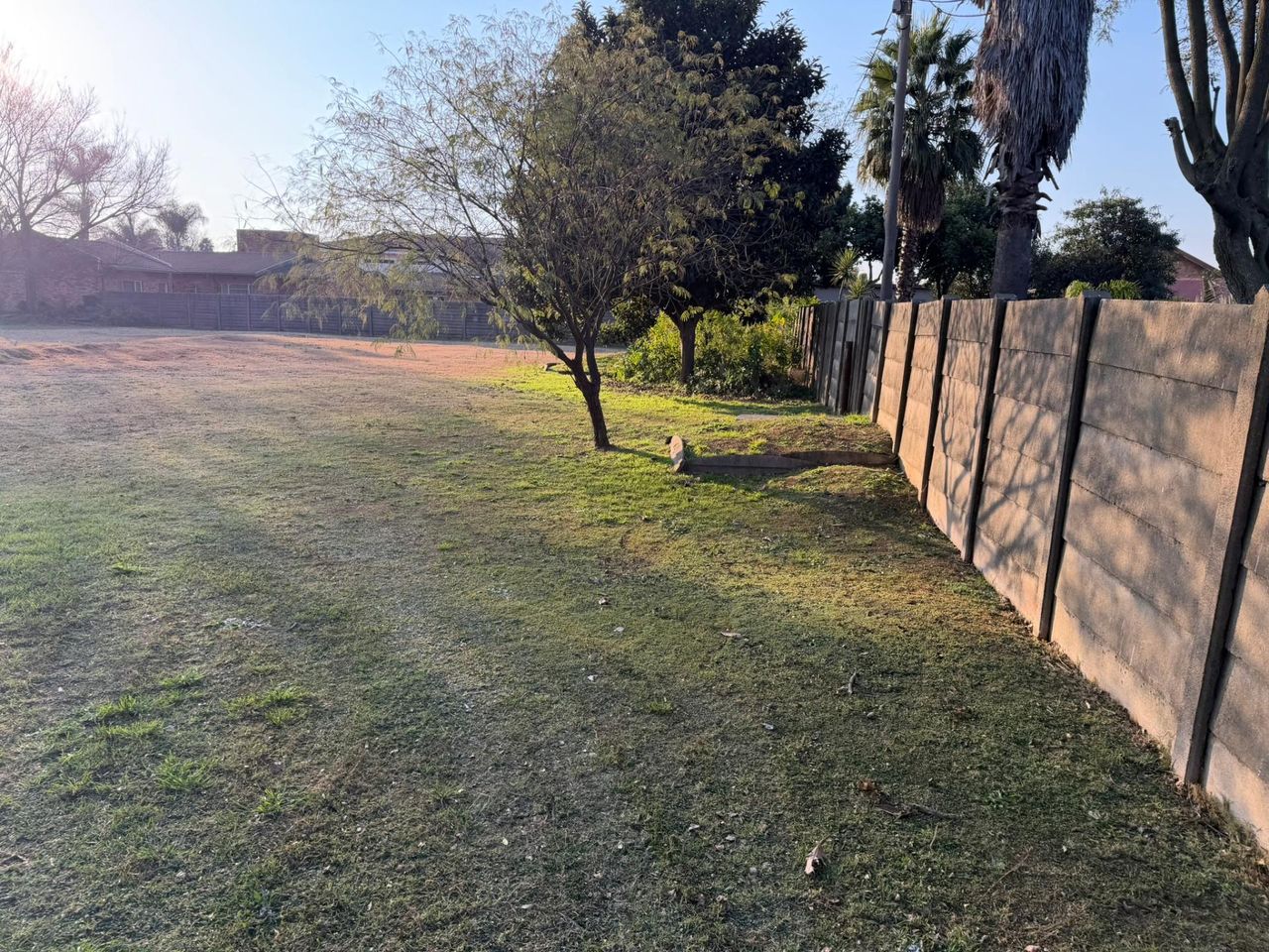 Photo 8 of 14