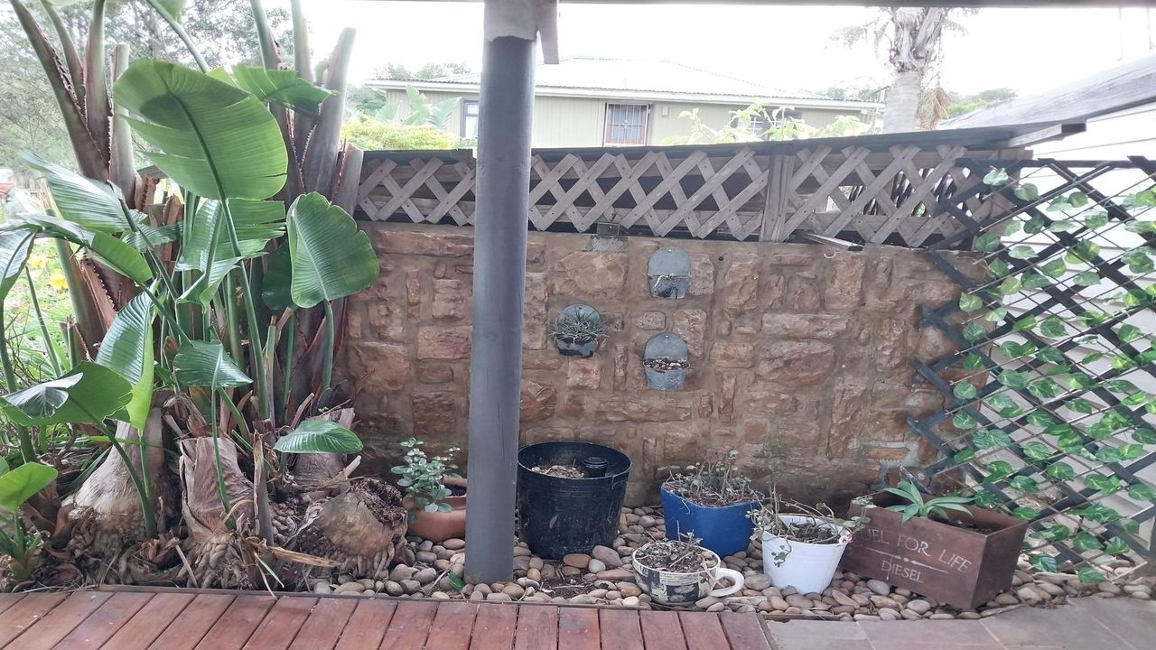 Photo 12 of 16