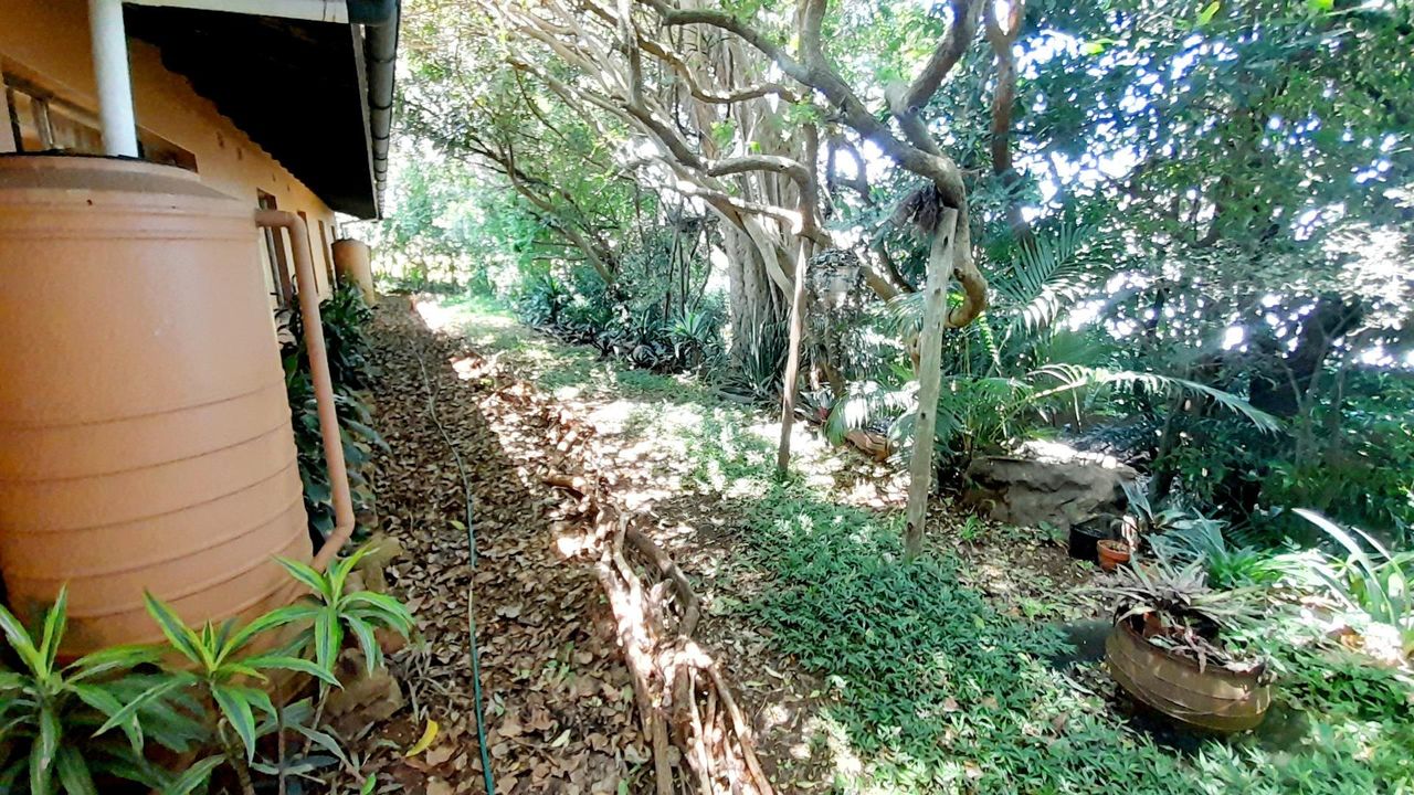 Photo 11 of 27