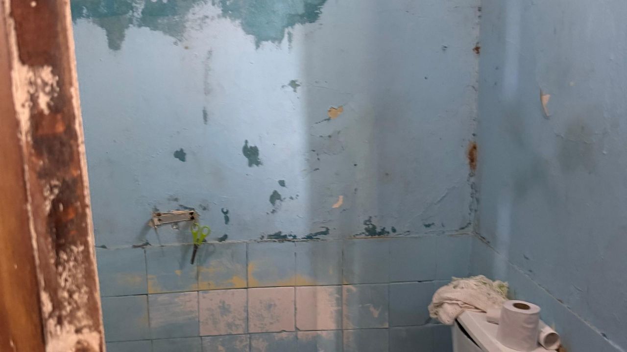 Photo 18 of 28