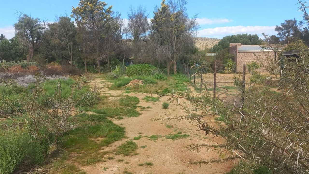 Photo 6 of 13