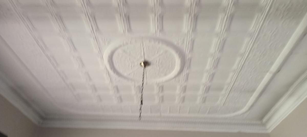 Photo 3 of 19