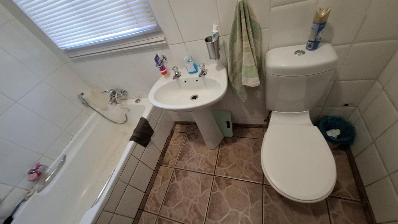 Photo 12 of 24