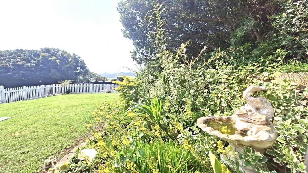 Photo 16 of 19