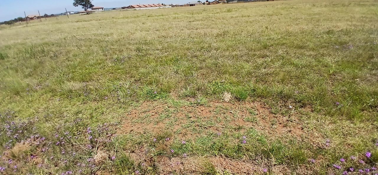 Photo of Vacant Land for sale in Riversdale, Meyerton